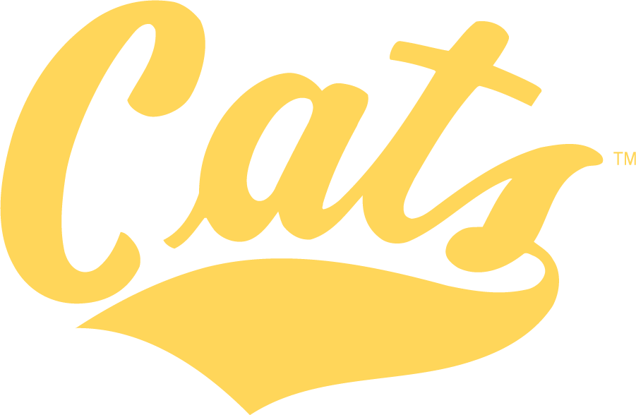 Montana State Bobcats 2004-2006 Wordmark Logo t shirts iron on transfers